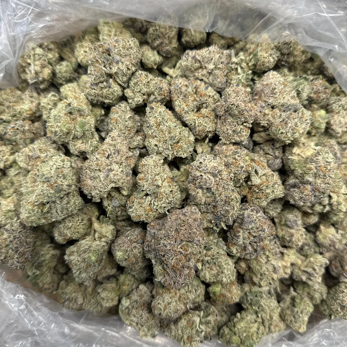 Granny Kandy Flower